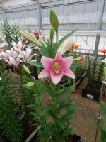 [5598 VH28 No01.JPG]